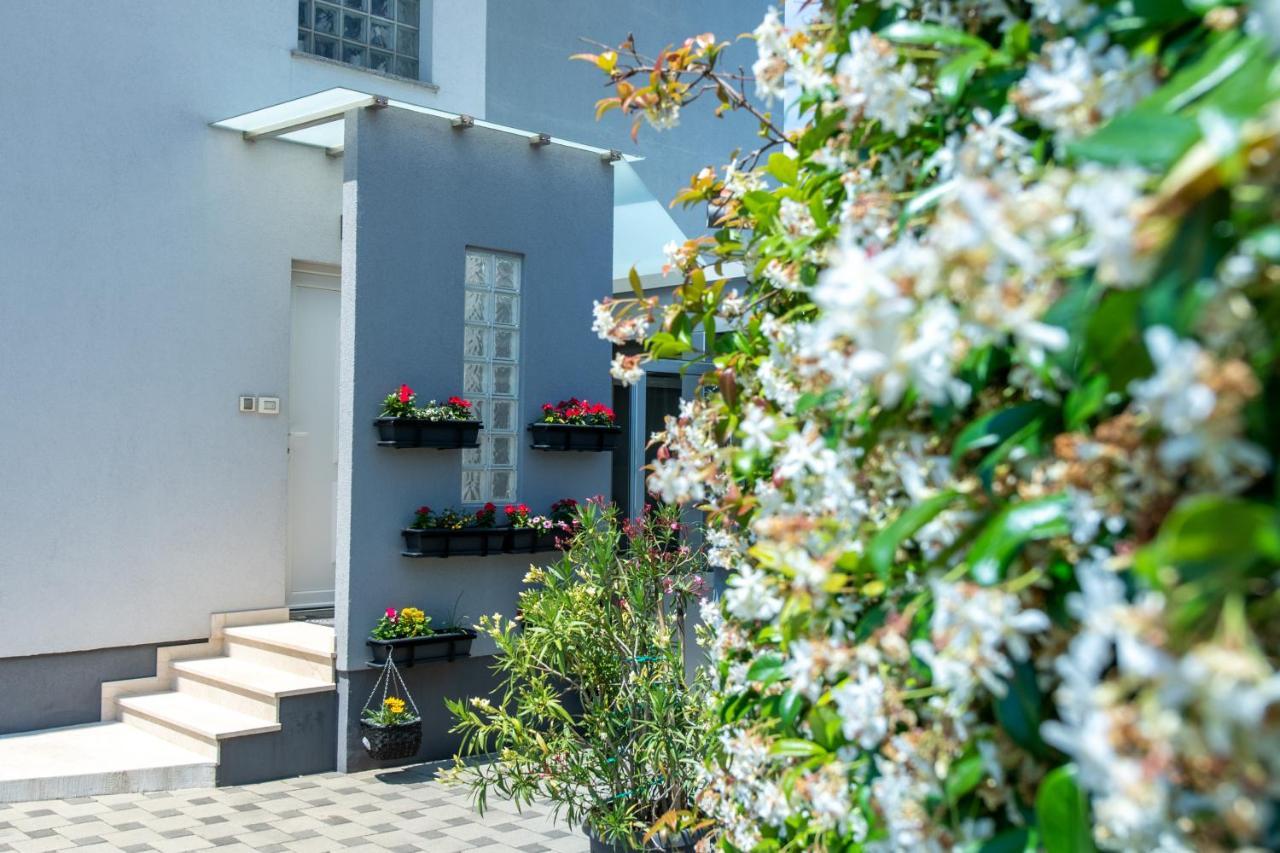 Apartments Greta & Ivona بولا المظهر الخارجي الصورة